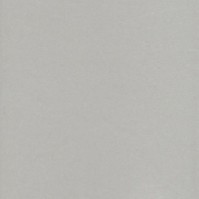 metalic-argent